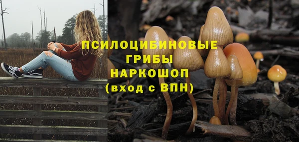 тгк Белокуриха