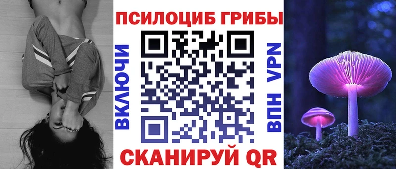 Галлюциногенные грибы MAGIC MUSHROOMS  Купить где  Куровское 